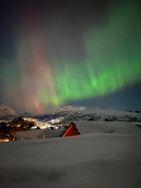 Solsetra - Mountain Majesty Family Log Cabin